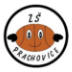 ZŠ Prachovice